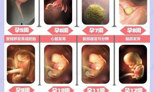吃孕酮片对身体有伤害吗-【孕酮片的副作用】吃孕酮的作用和功效 - 服用孕酮有什么副作用网